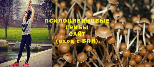трава Баксан